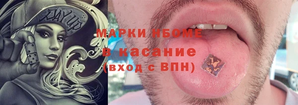 молекула духа Няндома