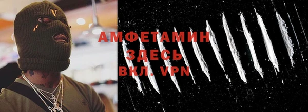 молекула духа Няндома