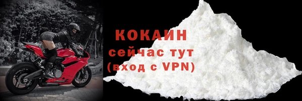 молекула духа Няндома