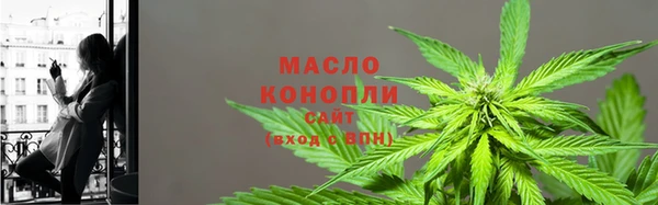 молекула духа Няндома