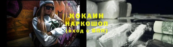 молекула духа Няндома