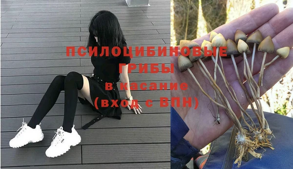 молекула духа Няндома
