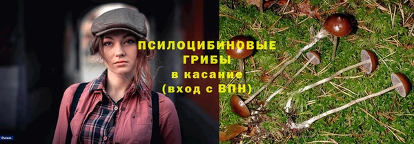 молекула духа Няндома