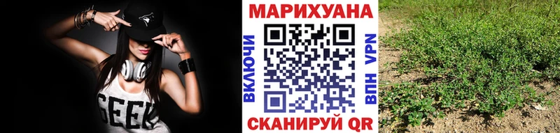 Каннабис OG Kush  как найти   Бабаево 